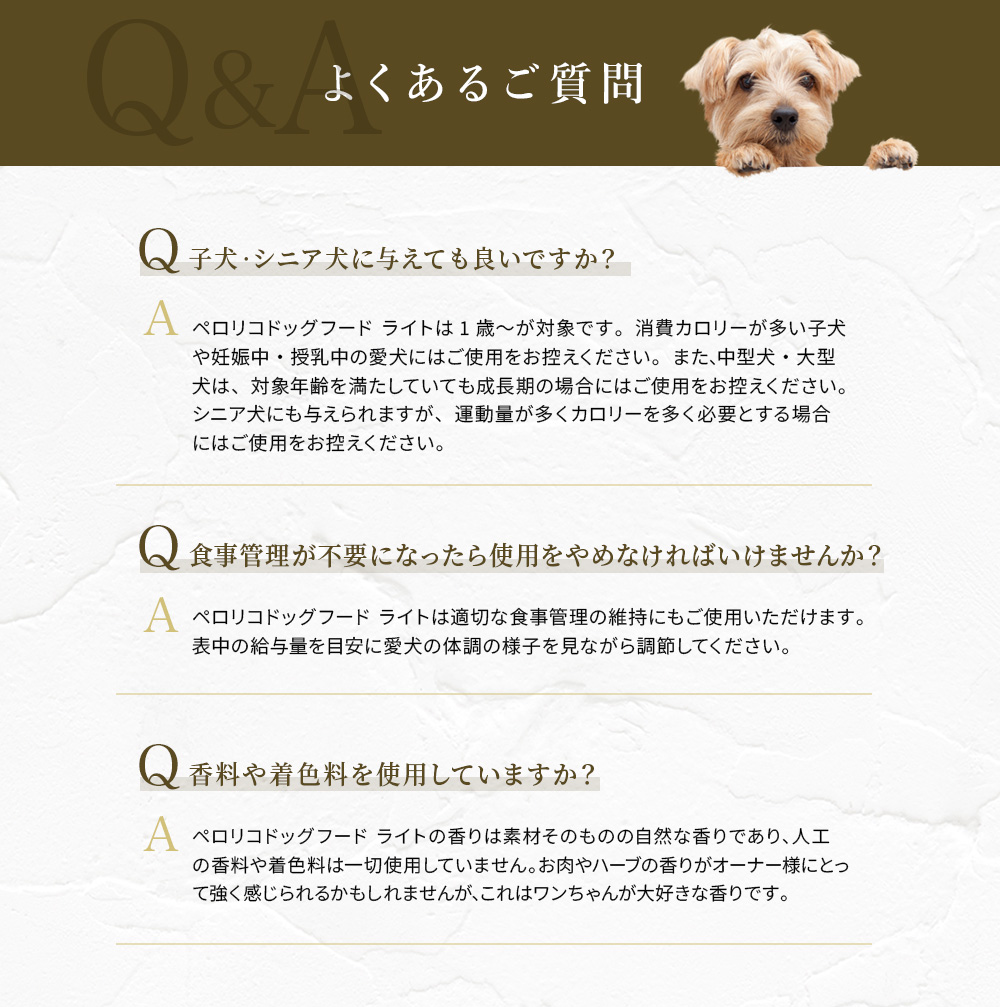 よくあるご質問
